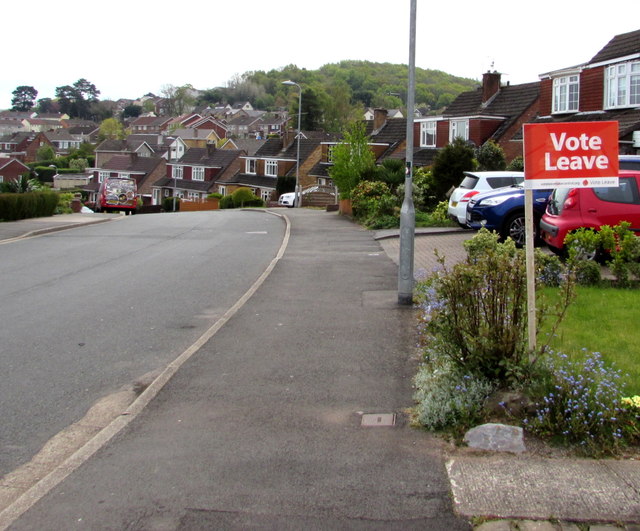 Vote Leave sign, Malpas, Newport © Copyright Jaggery/Geograph.com