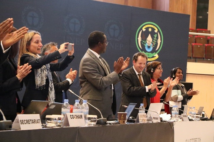 Delegates celebrate the finalisation of the Kigali deal. Credit: COP 22