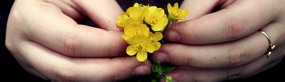 Hands yellow flower